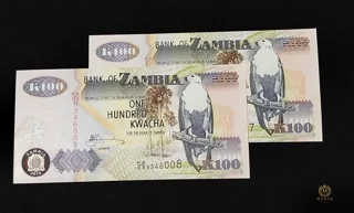 جفت اسکناس ۱۰۰ کواچا زامبیا ۲۰۱۰ سوپر بانکی | UNC